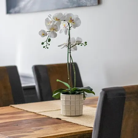 Spacious Flat Close To Center 아파트 *