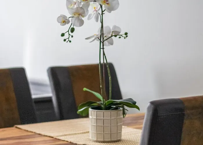 Spacious Flat Close To Center 公寓 *